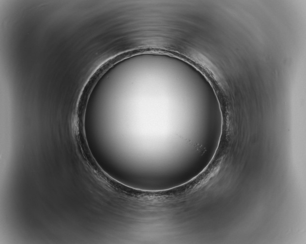 X0000094070924200710191117
