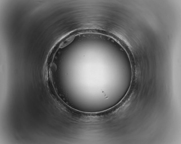 X0000094070925200710191117