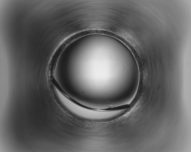X0000094070926200710191117