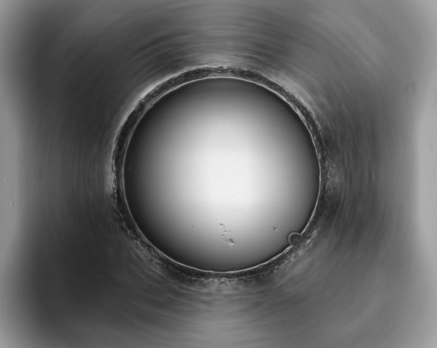 X0000094070927200710191117