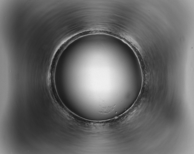 X0000094070928200710191117