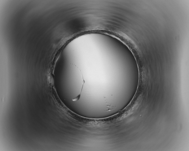 X0000094070929200710191117
