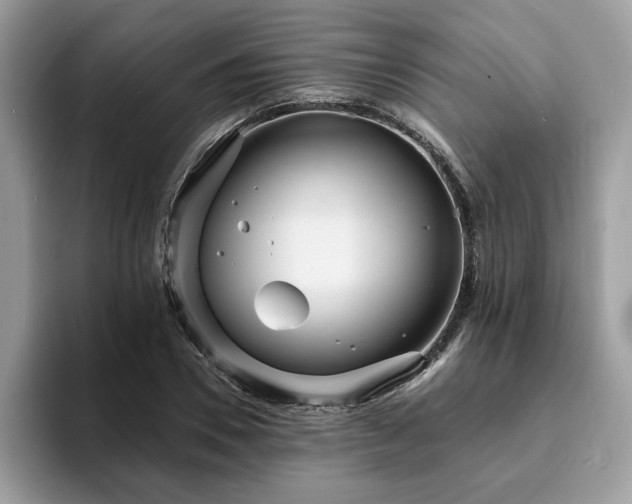 X0000094070930200710191117