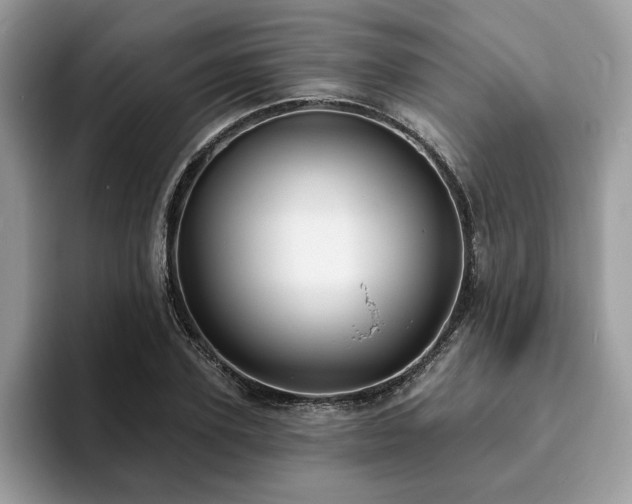 X0000094070931200710191117