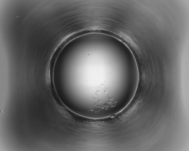 X0000094070934200710191117