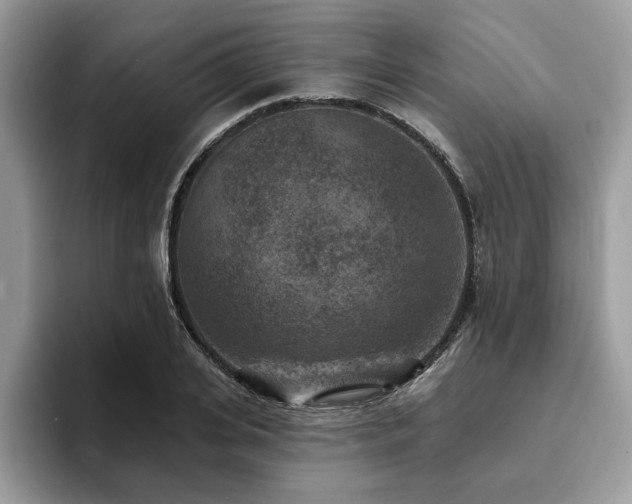 X0000094070935200710191117