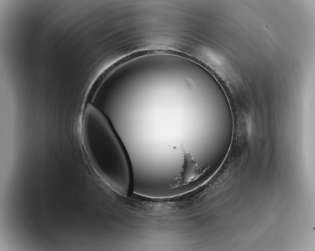 X0000094070936200710191117
