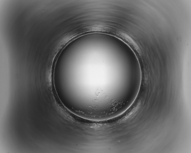 X0000094070938200710191117