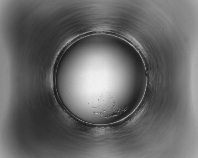 X0000094070939200710191117