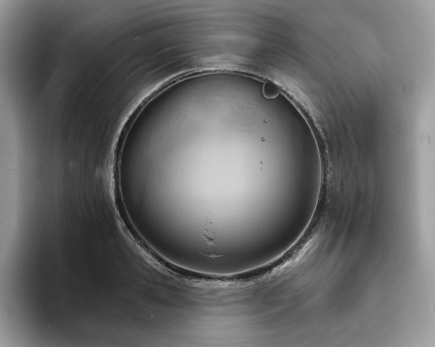 X0000094070941200710191117