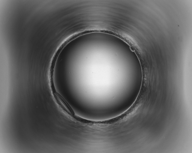 X0000094070942200710191117