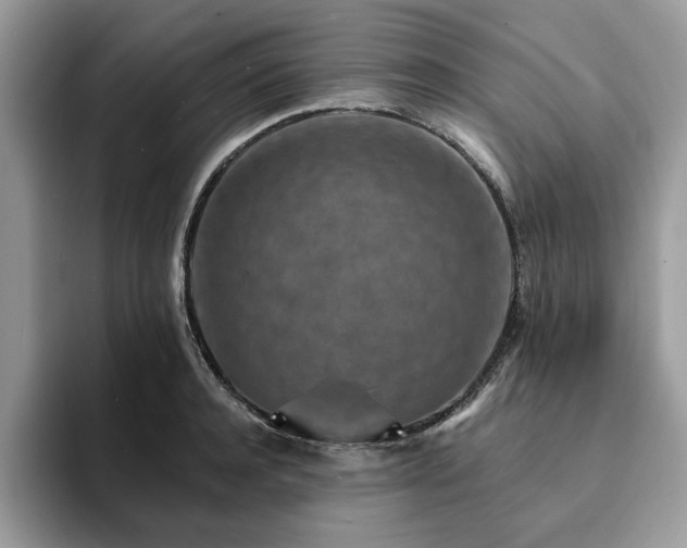 X0000094070944200710191117