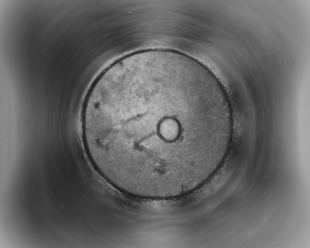 X0000094070950200710191117