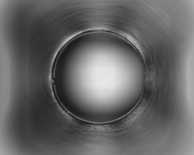 X0000094070951200710191117