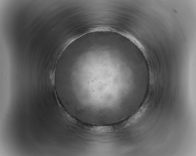X0000094070953200710191117