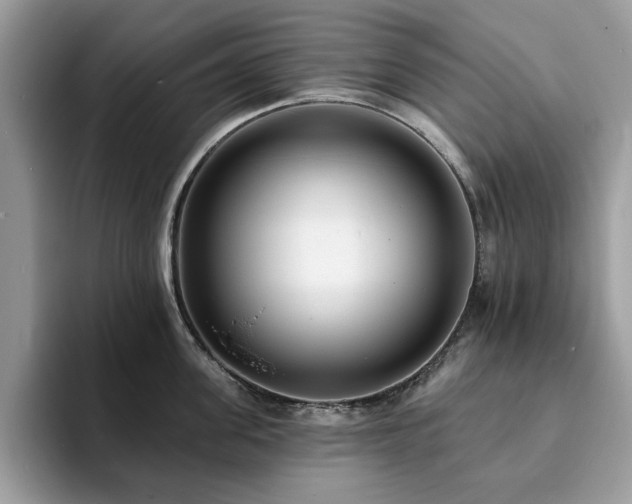 X0000094070955200710191117