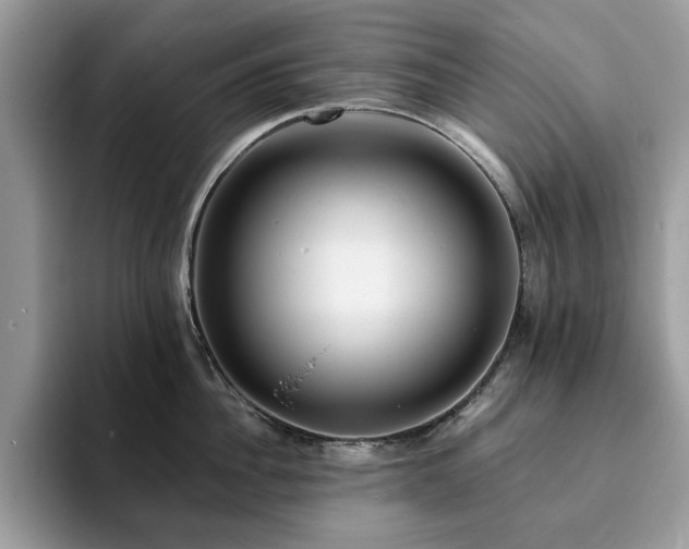 X0000094070956200710191117
