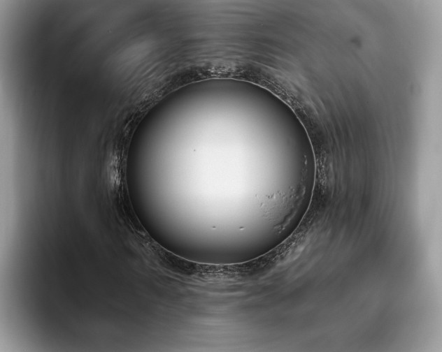 X0000094070962200710191117