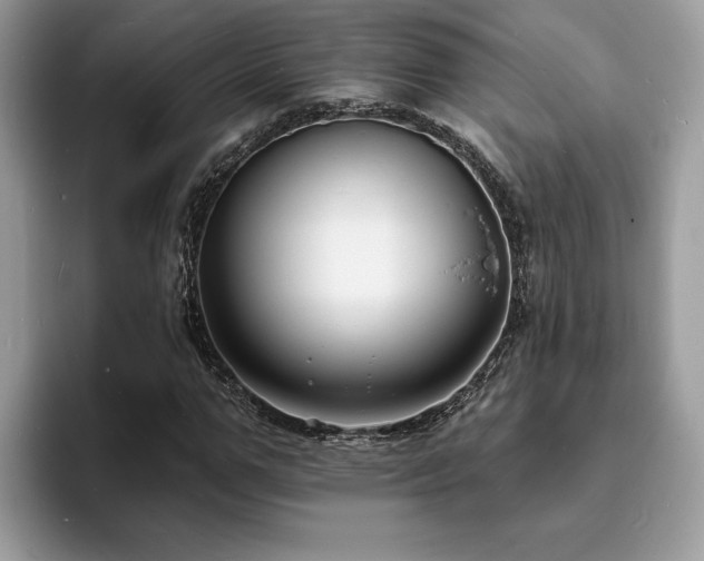 X0000094070967200710191116