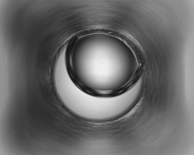 X0000094070969200710191116
