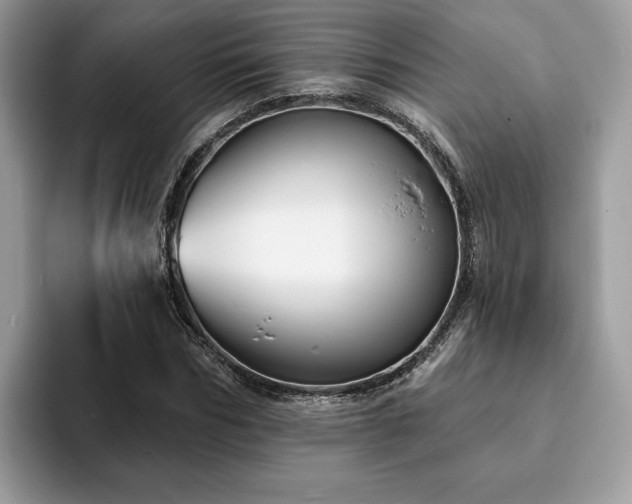 X0000094070970200710191116