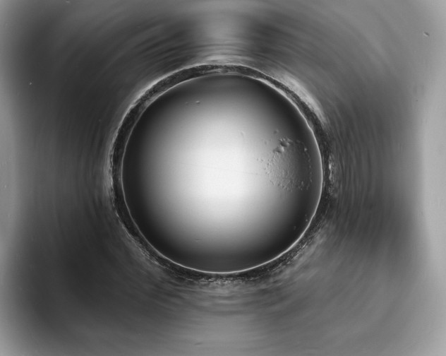 X0000094070972200710191116