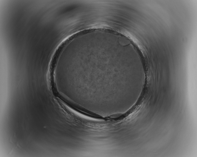 X0000094070975200710191116