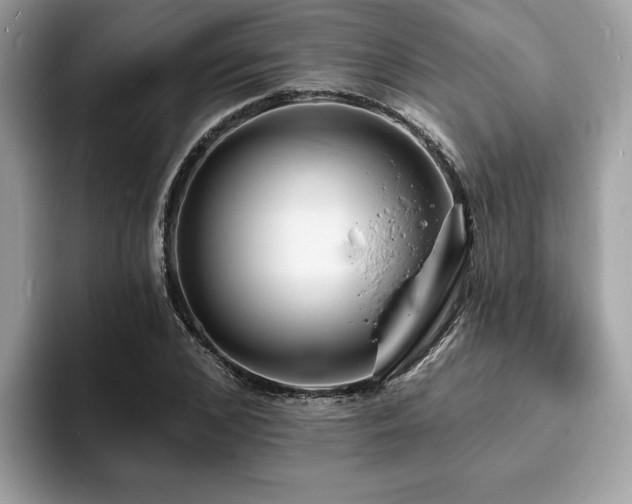 X0000094070976200710191116