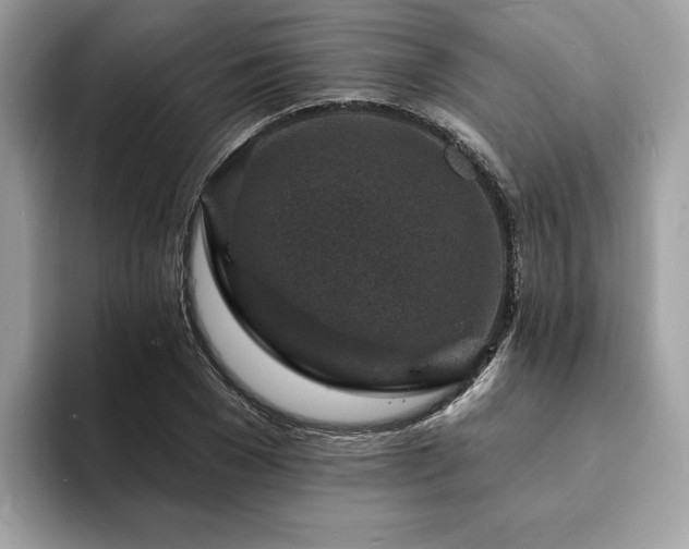 X0000094070977200710191116