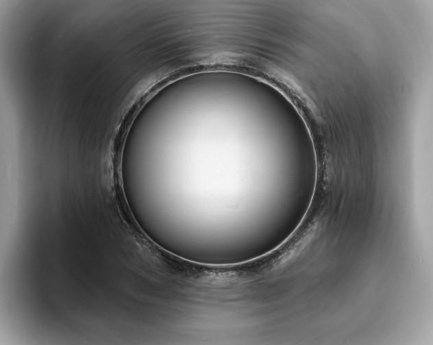 X0000094070978200710191116