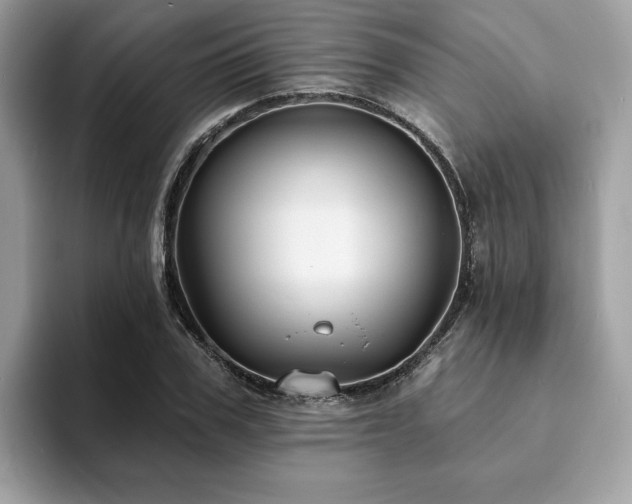X0000094070979200710191116