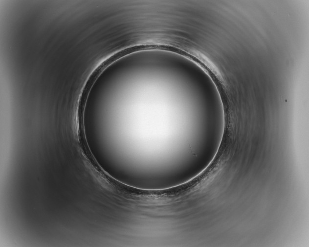 X0000094070980200710191116