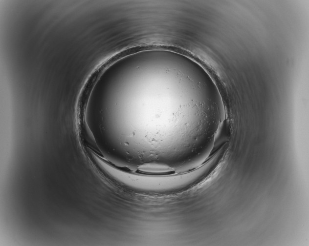 X0000094070981200710191116