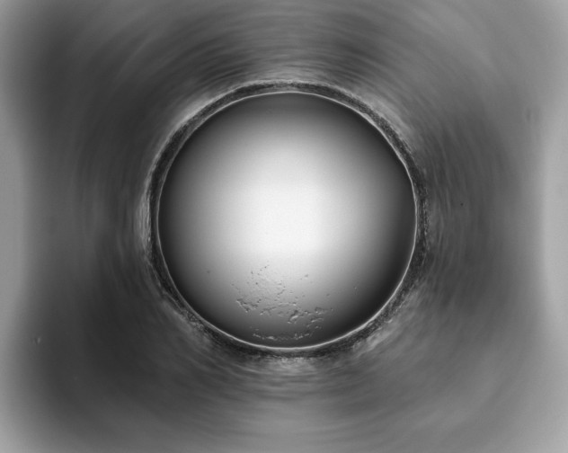 X0000094070982200710191116