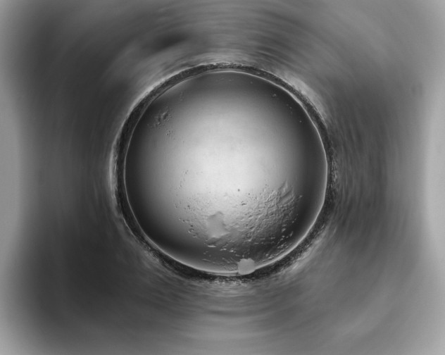 X0000094070983200710191116
