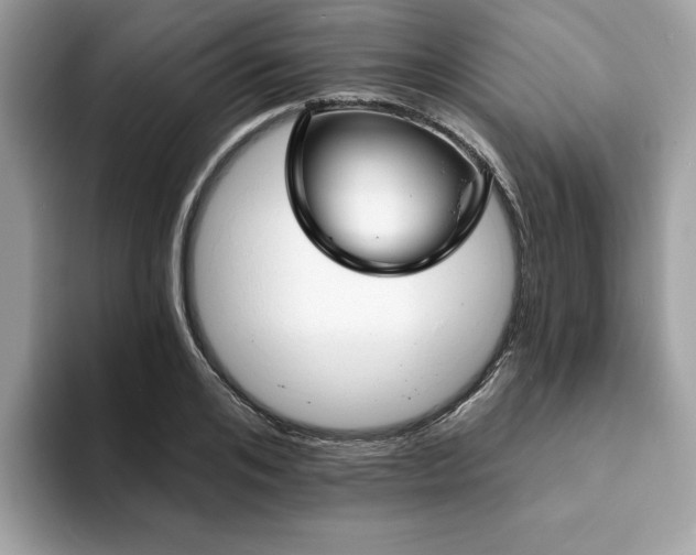 X0000094070984200710191116