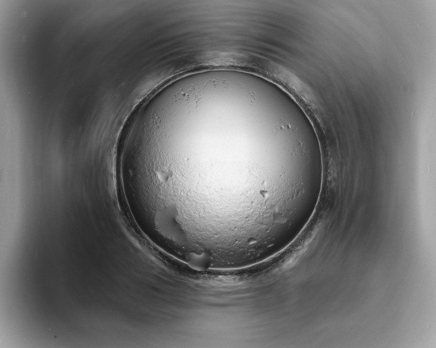 X0000094070986200710191116