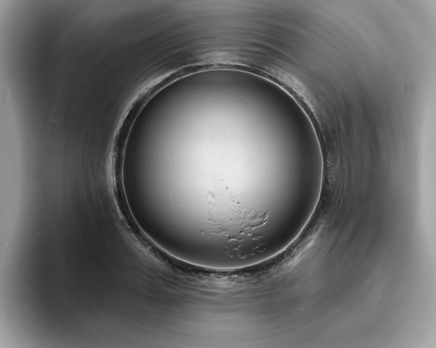 X0000094070987200710191116