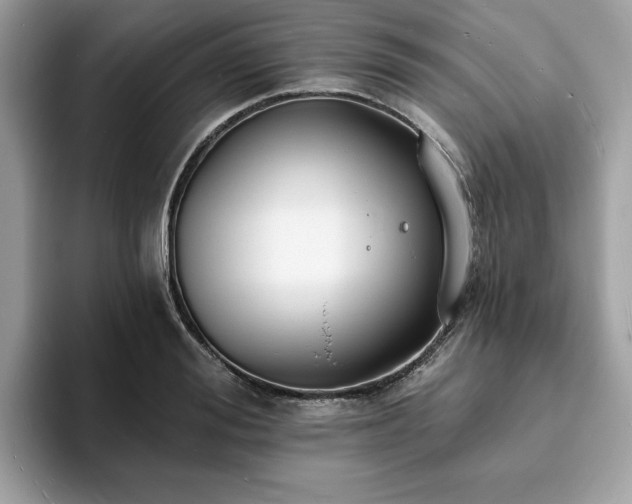 X0000094070988200710191116