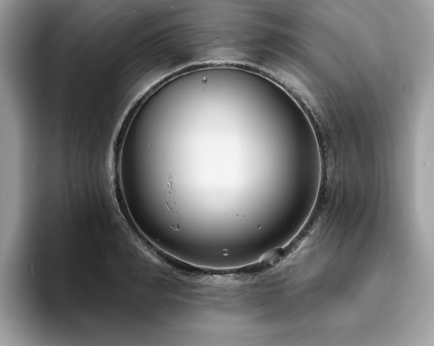 X0000094070990200710191116