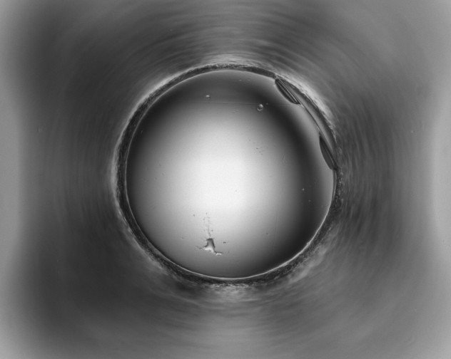 X0000094070991200710191116