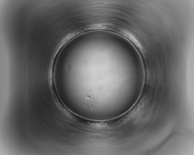 X0000094070994200710191116