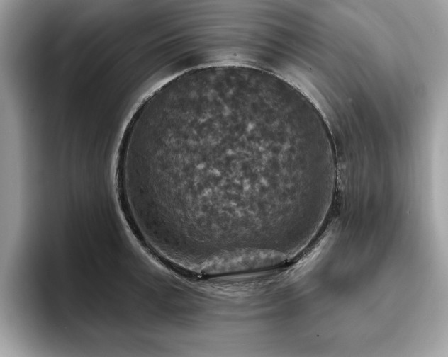 X0000094070995200710191116