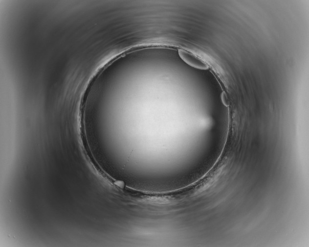 X0000094070998200710191116