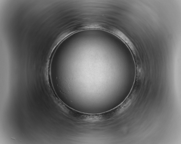 X0000094071002200710191116