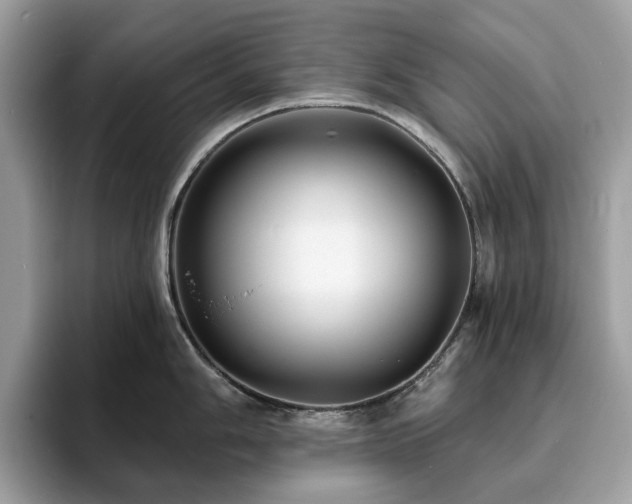 X0000094071006200710191116