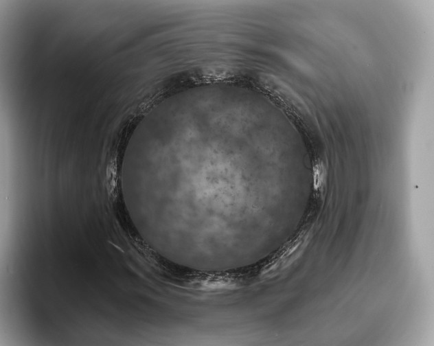 X0000094071011200710191115