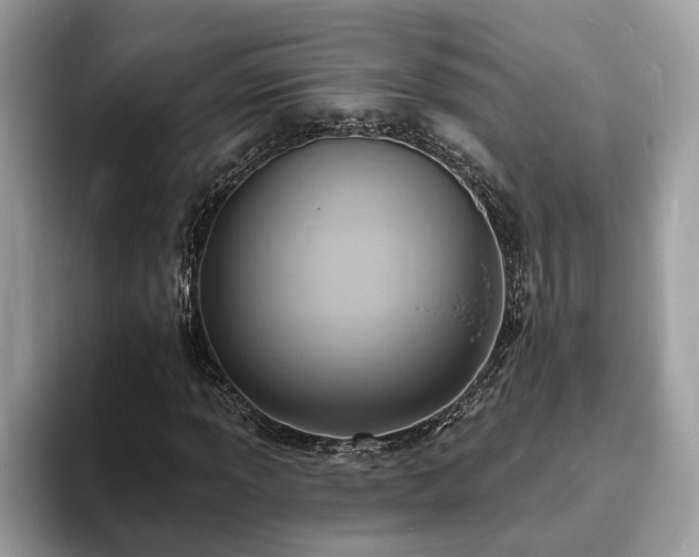 X0000094071013200710191115