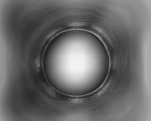 X0000094071017200710191116