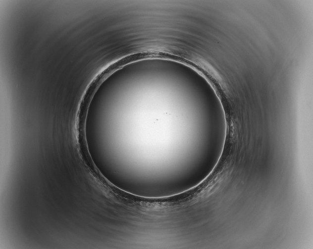 X0000094071020200710191116